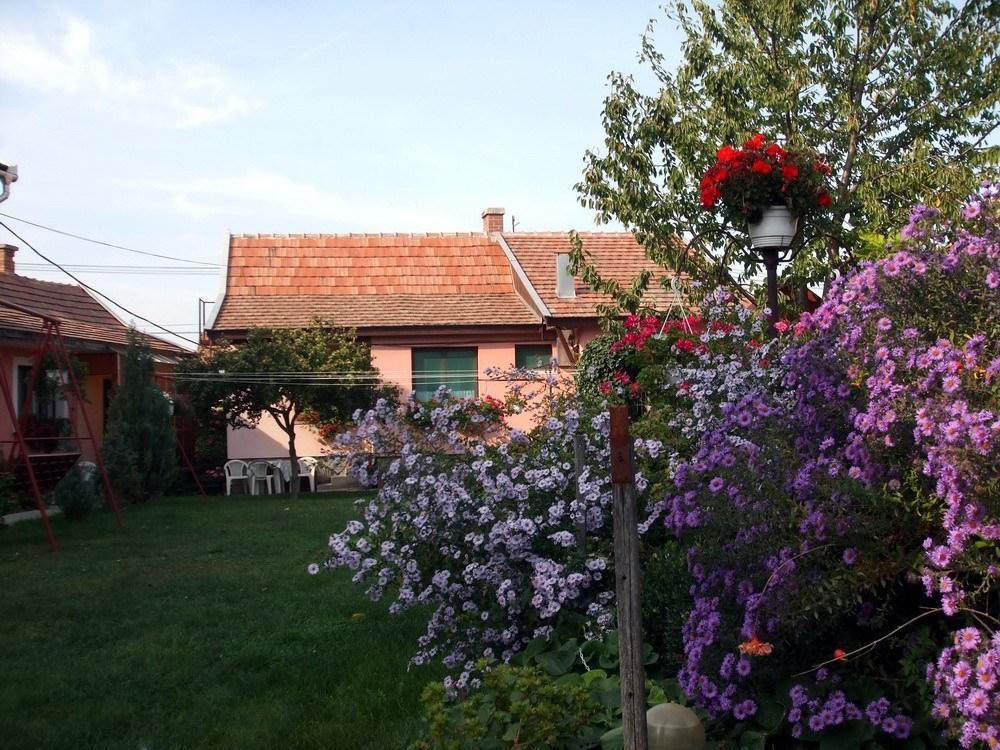 Lugas Szallas ยาสซ์แบร์รีนย์ ภายนอก รูปภาพ